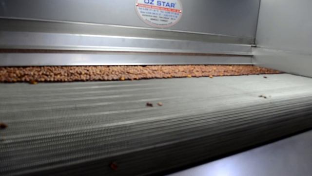 OS - 500 Belt Type Roasting Machine / OS - 500 ленточных жарочных машин