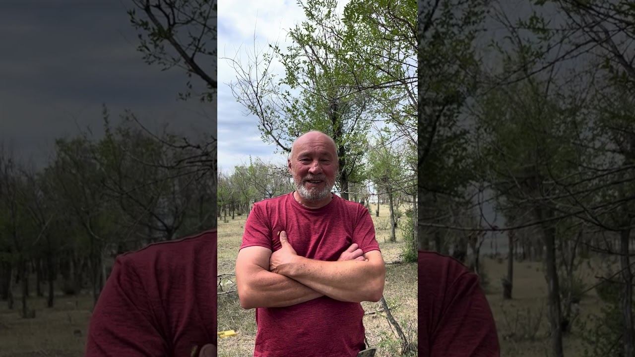 Отзывы турклуба Гора. Поход по Киргизии смотреть онлайн