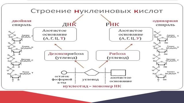 Задание 3 диагностической работы