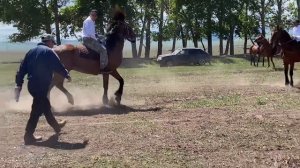 За кадром. Скачки Верх Аскиз 01.06.2024