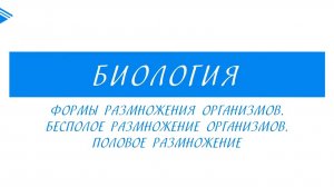 10 класс - Биология - Формы размножения организмов. Бесполое размножение. Половое размножение