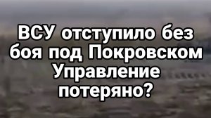 15.01.2025 ТАМИР ШЕЙХ / ОКСАНА ЛАТЫНИНА. ВСУ БЕЗ БОЯ СДАЛИ ПОЗИЦИИ. Новости Сводки с фронта