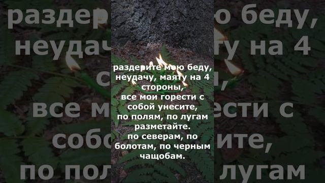 Заговор на удачу. Привлечение процветания в жизнь. Молитва на удачу и деньги.