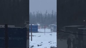 в Пыть-яхе на людей напал медведь (в этом видео есть маты)