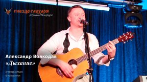 "Дыхание" Александр Волкодав "Гнездо глухаря" Санкт-Петербург 10.02.24 #питер #голос #концерт #live