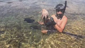 solo 3 DAYS survival (NO FOOD, NO WATER, NO SHELTER) Catch and Cook, OCTOPUS. Bushcraft Camping