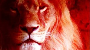 ЛЯПОТА ЗАЛИТАЙ