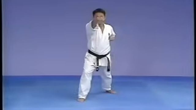 Karate kyokushin kata  taikyoku  1,2 and 3 смотреть онлайн