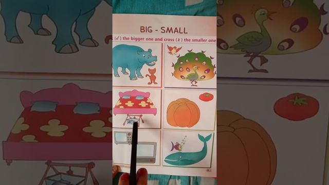 Big , small difference class