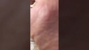 Шаманский Онгон-защитник.