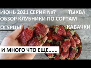Июнь 2021 серия №7