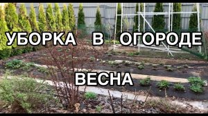 Убираюсь в огороде