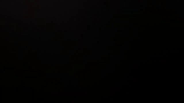 Медведь и алкаши не лезь дебил она тебя сожрет смотреть онлайн