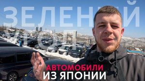 ЗЕЛЕНЫЙ УГОЛ БИТКОМ✅ СУЕТА НА АВТОРЫНКЕ АКТУАЛЬНЫЕ ЦЕНЫ СЕГОДНЯ. 17.02