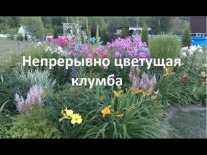 Как создать непрерывно цветущую клумбу.