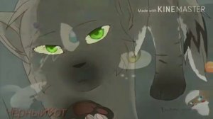 \_(.-.)_/Клип коты Воители\_(.-.)_/