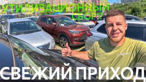 АВТО ОТ 500 ТЫС. РУБ. ОБЗОР НАШЕЙ СТОЯНКИ. АВТОРЫНОК ЗАКРОЮТ⁉️УТИЛЬ СБОР