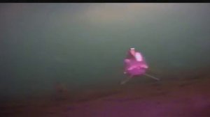 015 AVI подводное видео Ерши .