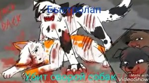 Смерти котов воителей.