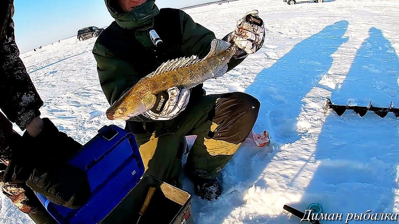 РЫБАЛКА НА СУДАКА!ЗАБАГРИЛИ САЗАНА!!ЛОВЛЯ СУДАКА на ВОДОХРАНИЛИЩЕ#рыбалка2023 смотреть онлайн