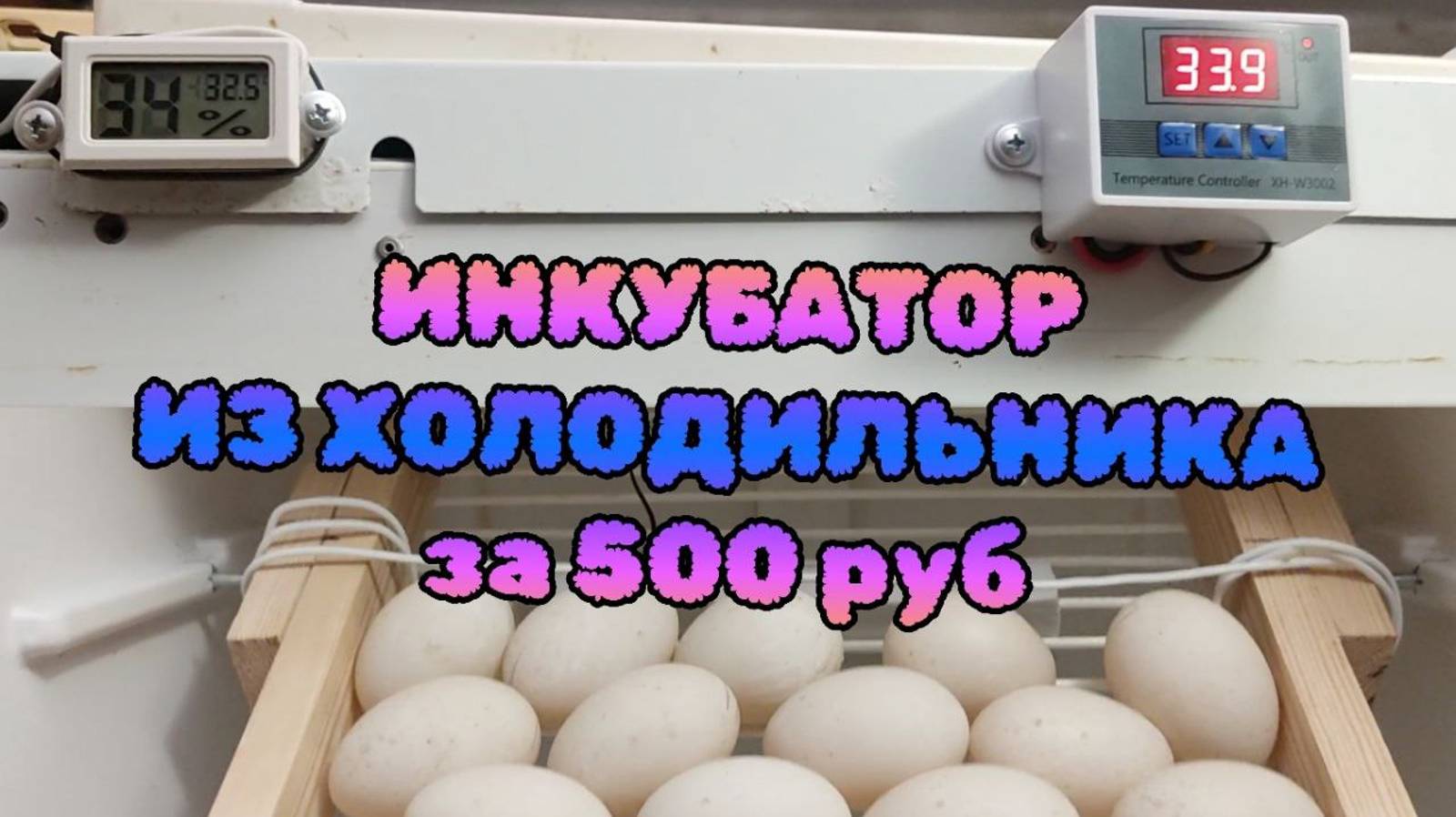 Инкубатор из Холодильника за 500 рублей