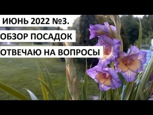 Июнь 2022 серия №3. Обзор огорода. Отвечаю на вопросы.