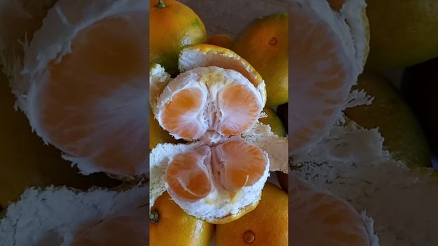 Мандариновое настроение