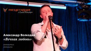 "Вечная любовь" Александр Волкодав "Гнездо глухаря" Санкт-Петербург 10.02.24 #питер #charlesaznavour