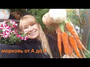Морковь от А до Я.