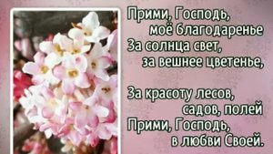 96 Прими, Господь, моё благодаренье (-)