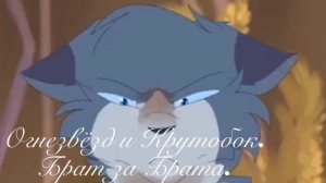 Песни в головах Котов-Воителей