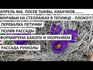 Апрель №6.Сажаем тыквы, кабачки и патиссоны. Формируем бакопу и.......