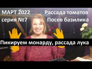 Март 2022 серия №7. Уход за рассадой томатов, лука, монарды....Посев базилика.