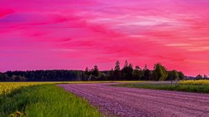 Краски лета | Расслабляющая музыка для отдыха, медитации