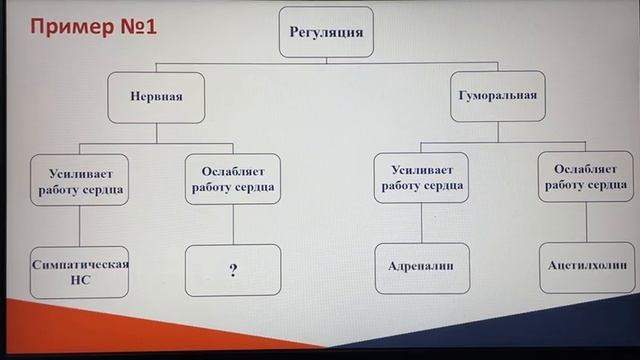 Биологические термины и понятия