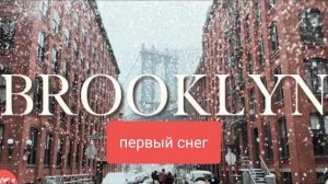 не Denis.Прогулка без коментариев по снегу в Нью-Йорке! |Пешеходная экскурсия по Бруклинским высотам