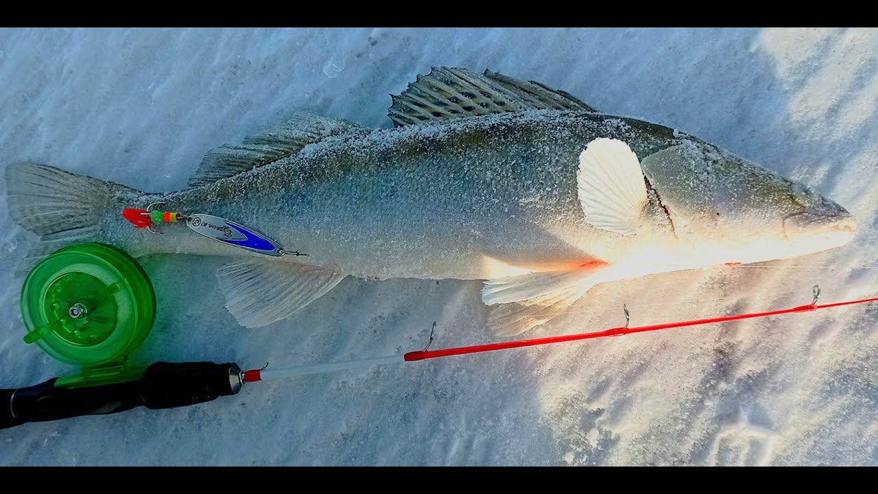 ПЕРВЫЙ ВЫХОД НА ОВХ!УСПЕШНОЕ НАЧАЛО СЕЗОНА 2021-22! смотреть онлайн