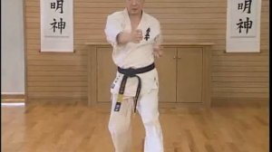 Taikyoku Sono Ichi (1)