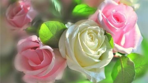 НЕЖНЕЕ НЕЖНОГО ЕЛЕНА ФЛОРОВА