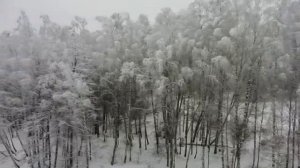 Спасибо всем нашим гостям за то, что были с нами этой зимой! Ждём в Сафари-парке уже весной 2023!