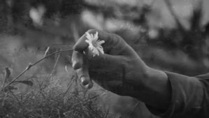 Руслан Щукин - Родина (сл. К. Симонов, муз. А. Корн)