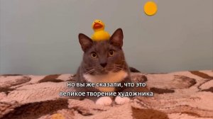 KOTIYNET Если бы котики ходили на кукурсию!!!