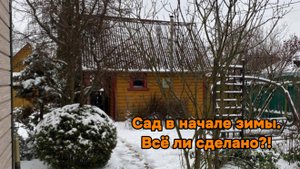 Зима. Начало. Прошлась по саду. Все, что успела и нет.