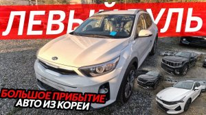 БОЛЬШОЕ ПРИБЫТИЕ АВТО ИЗ КОРЕИЦЕНЫ НА ЛЕВЫЙ РУЛЬ В 2024 ГОДУ⁉️KIA K3 K5❗️STONIC ❗️CARNIVAL MOHAVE❗️