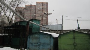 Голубятня ''Тимирязевская''