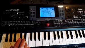 Korg MicroArranger developing backing tracks video 1