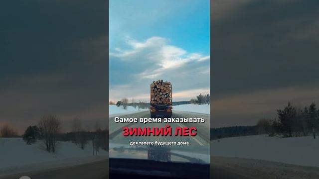 Самое время заказывать зимний лес | Русский Лес