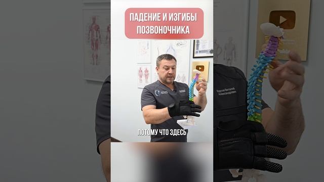 Для чего нужны изгибы позвоночника?