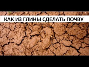 Как из глины сделать почву.
