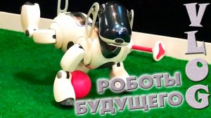 ⚙️ САМЫЕ КРУТЫЕ РОБОТЫ БУДУЩЕГО | ГОРОД РОБОТОВ 2018